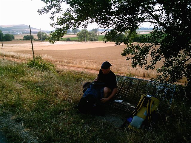 ...und natürlich im Schatten.